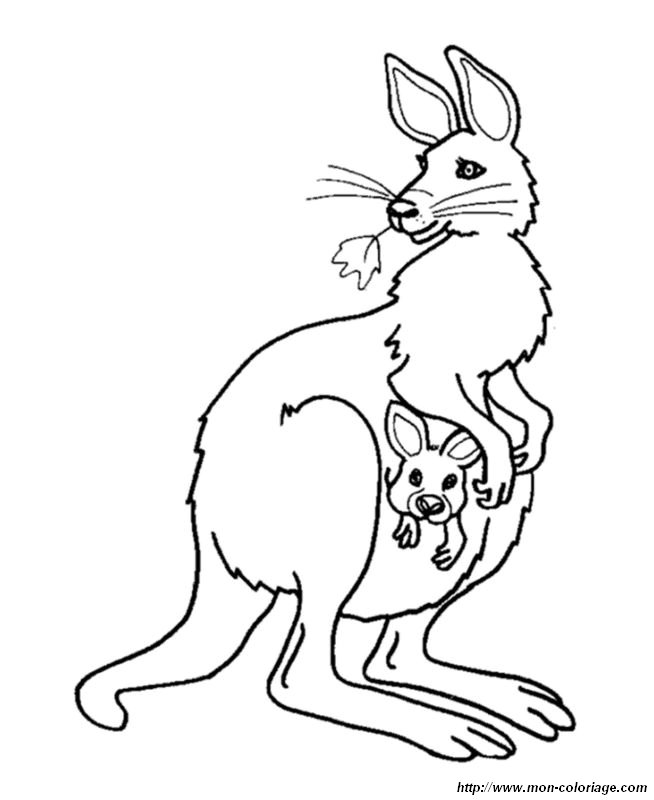 Maman kangourou avec une feuille