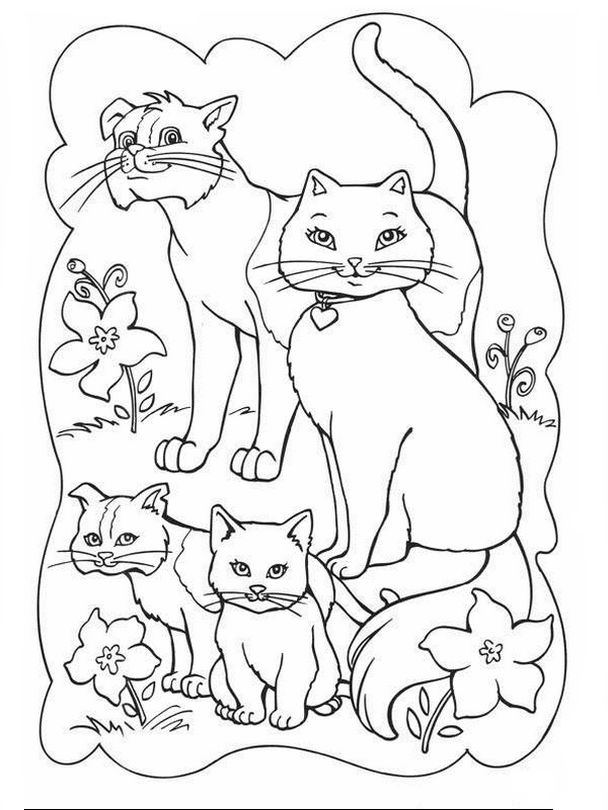 Une charmante famille de chats