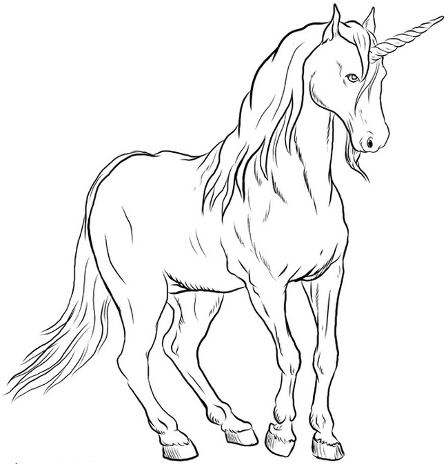 Une licorne magnifique