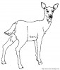 biche3