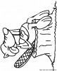 castor5