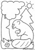 castor8