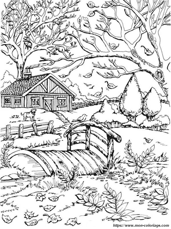 Coloriage paysage d automne