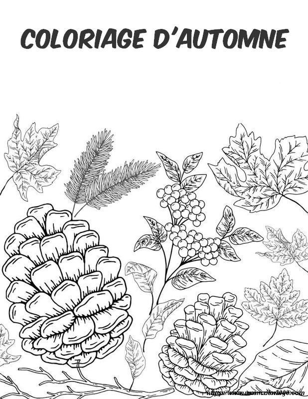 Rappel d automne en coloriages