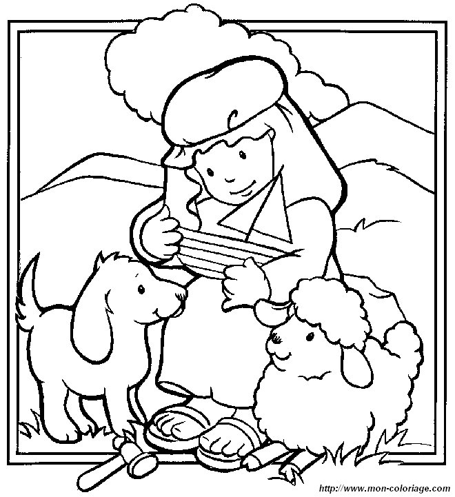 bible 20
