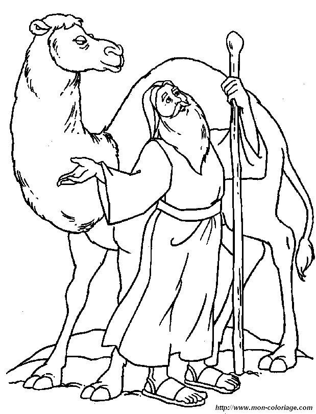 bible 30