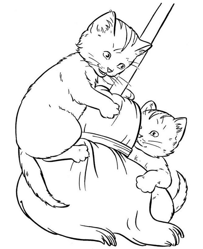 Deux chats jouent avec un balai