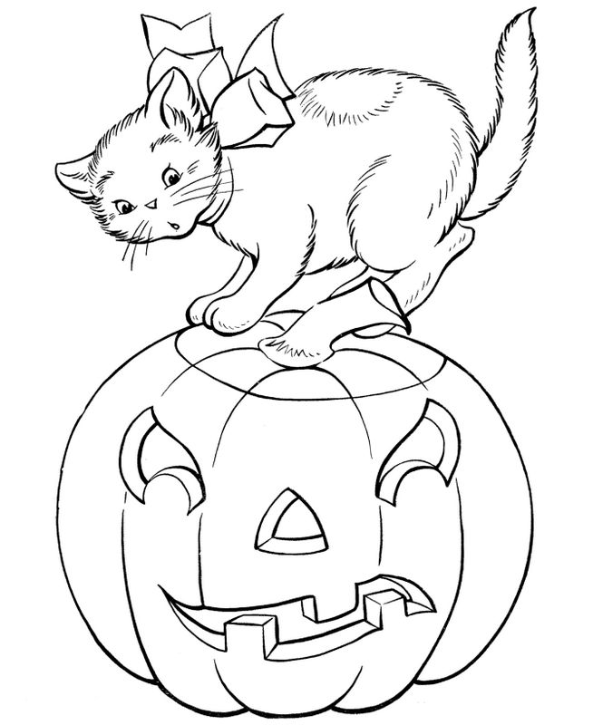 Coloriage de Chat, dessin Un chat sur une citrouille pour halloween à