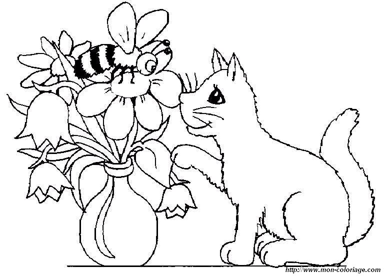 chats 3 004