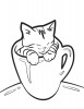 Il dort dans une tasse