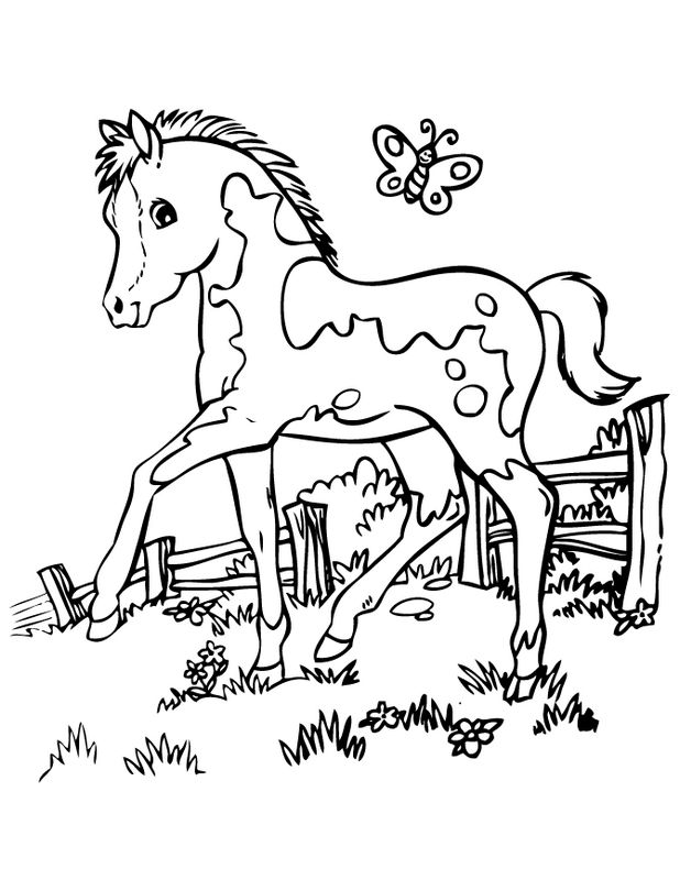 Coloriage De Cheval Dessin Poulain Avec Un Papillon Sur Son