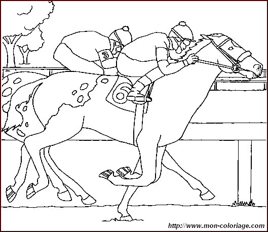 chevaux 2 007