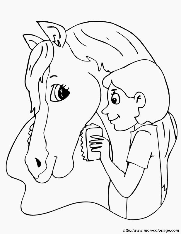 un cheval heureux