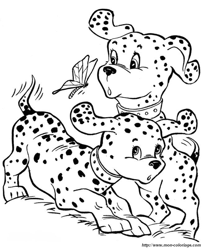 dalmatiens jouant avec un papillon