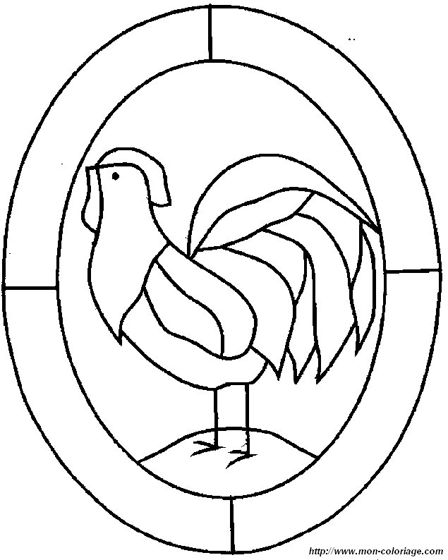 coq11