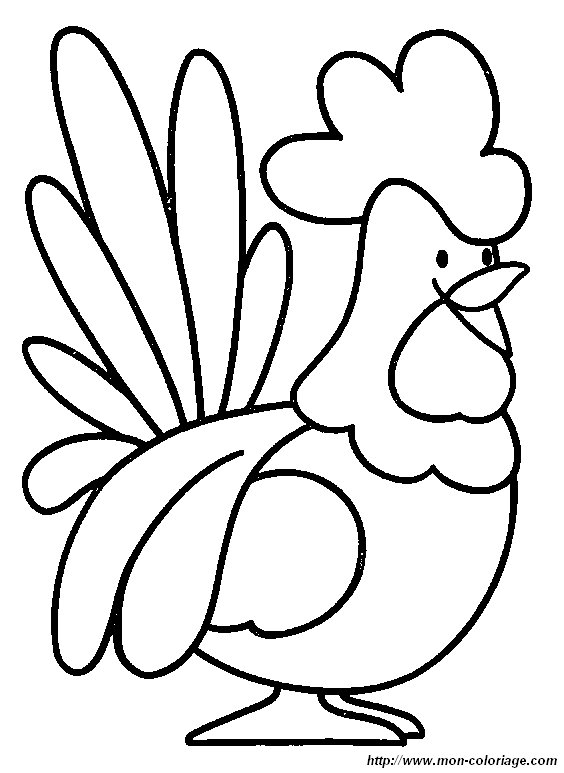 coq4