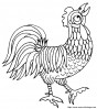 coq8