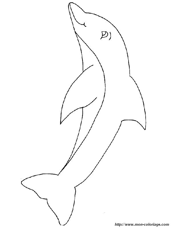 coloriage dauphin amusant