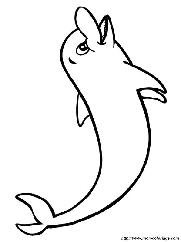 Coloriage De Dauphins Dessin Dauphin A Colorier Pour Les