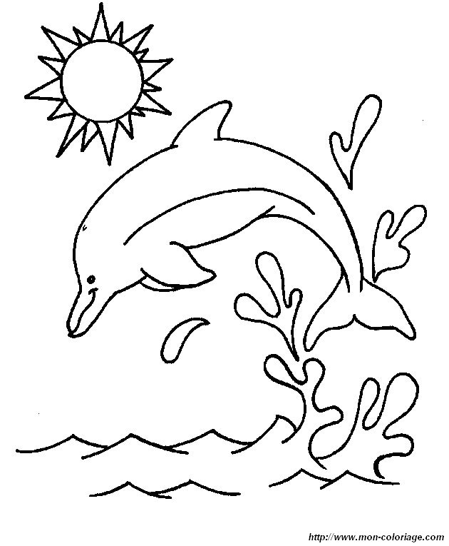 dauphins colodauphins8a13 011