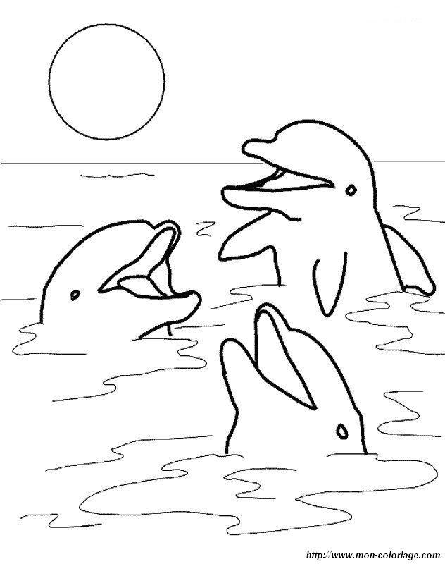 ils chantent les dauphins