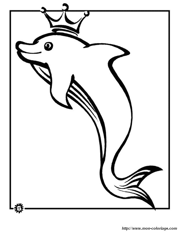 le roi des dauphins