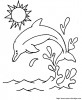 dauphins colodauphins8a13 011