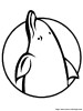 logo dauphin