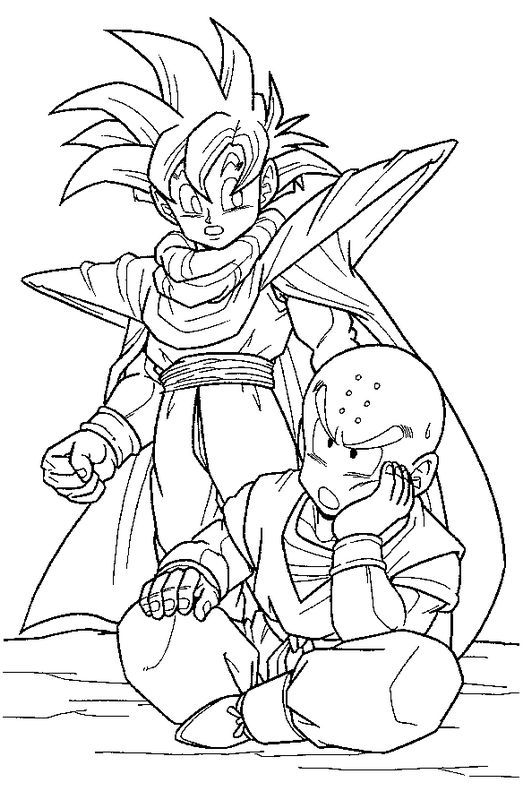 Dragon Ball Z Deux amis ensemble