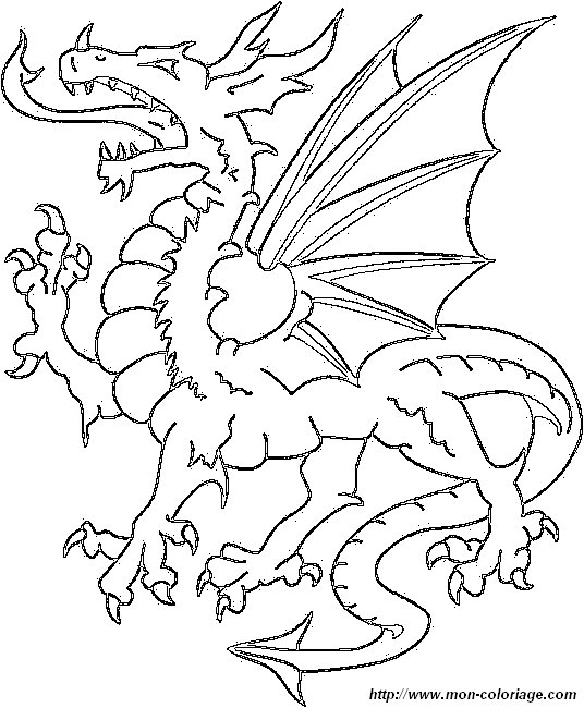 dragon4