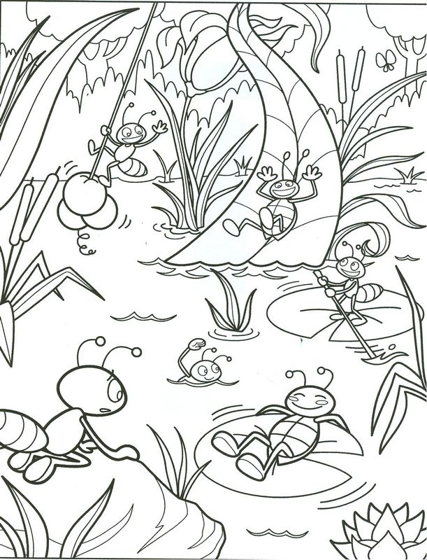 Insectes dans un petit lac