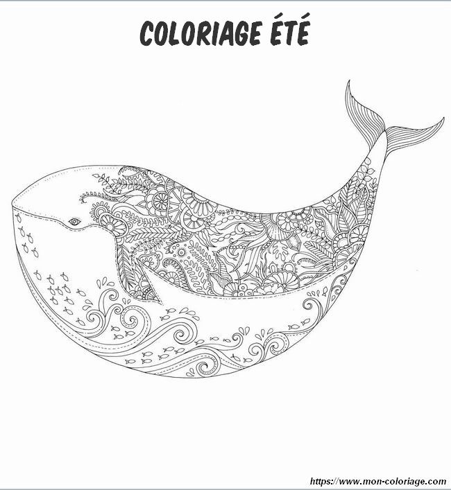 Une baleine en mandala