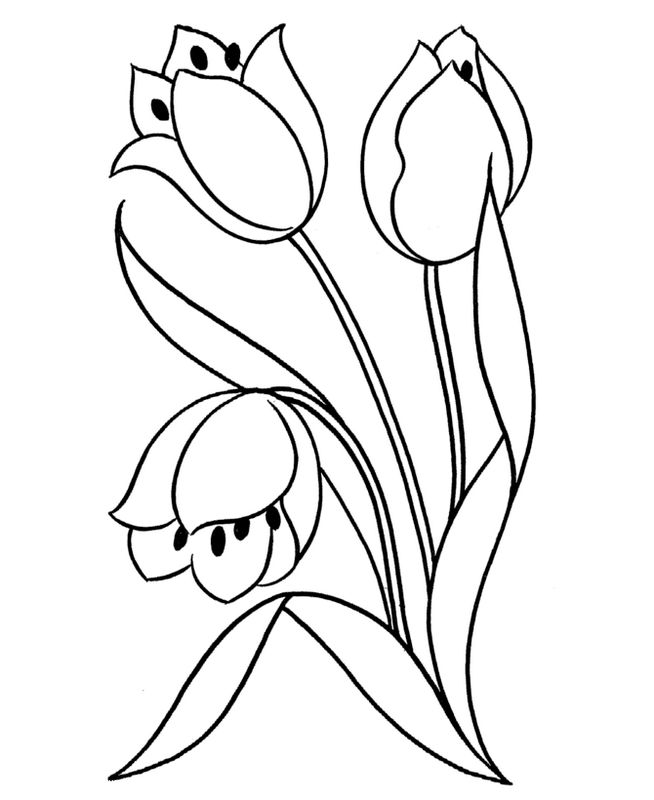 Coloriage de tulipes pour enfants