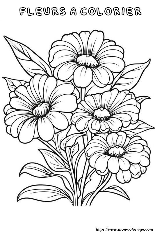 Un peu comme des marguerites