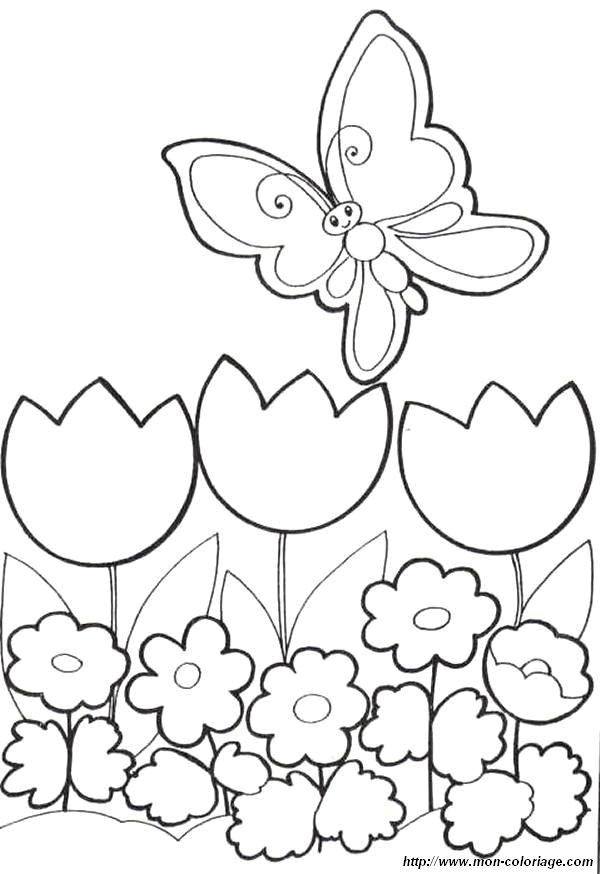 coloriage papillons fleur jpg