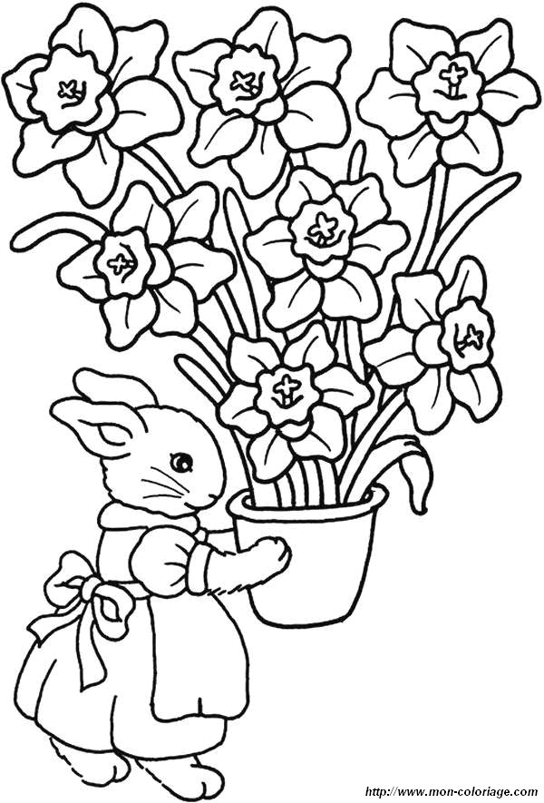 coloriages fleur lapin jpg