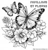 Les papillons adorent les fleurs