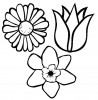 Trois sortes de fleurs pour colorier