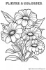 Un peu comme des marguerites