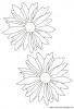 coloriage fleur petale  