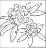 coloriage fleurs jpg