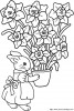 coloriages fleur lapin jpg