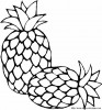 coloriage ananas