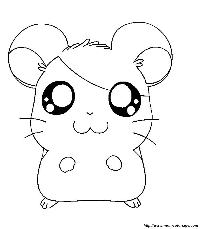 hamtaro