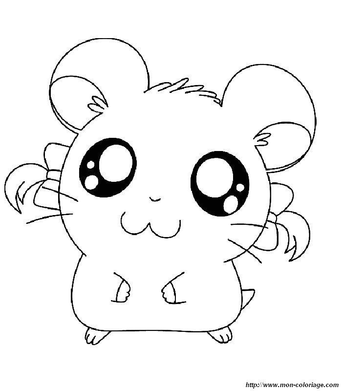 image hamtaro