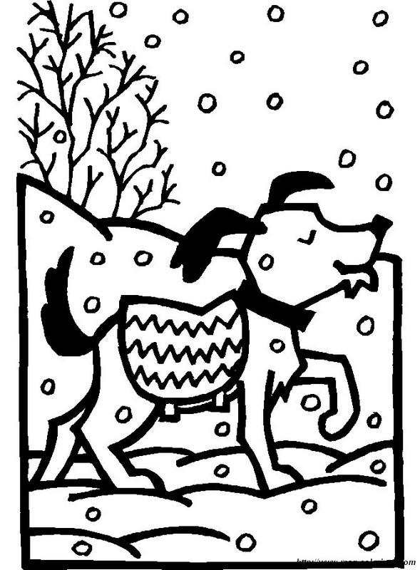 chien neige