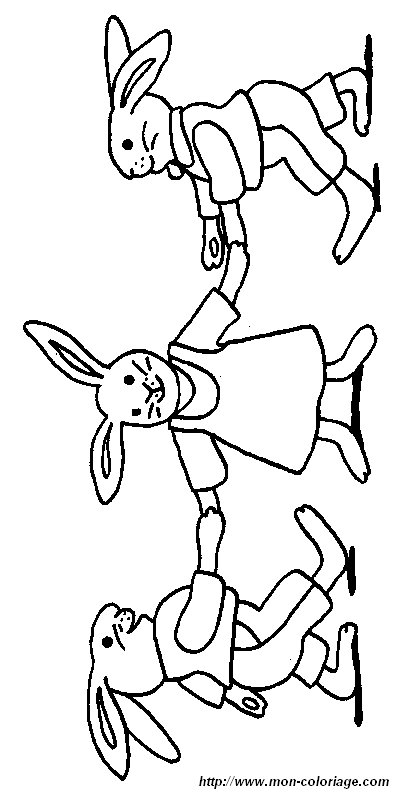 lapin16