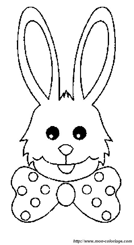 lapin33