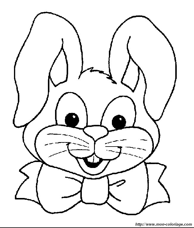 lapin36
