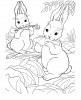 Deux lapins mangent des carottes